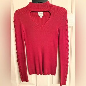 Hippie Rose Deep Red V-Neck Sweater